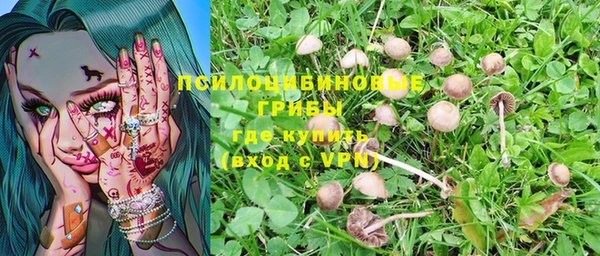 соль курить ск Лагань
