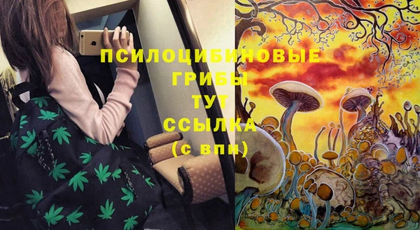 прущая мука Куйбышев